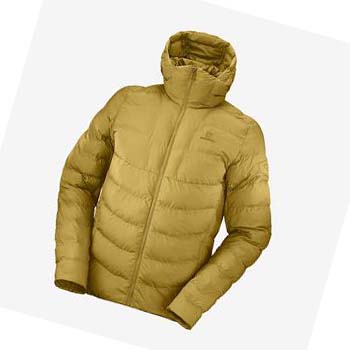 Chaquetas Salomon ESSENTIAL XWARM INSULATED Hombre Amarillos | MX 3313JPQ